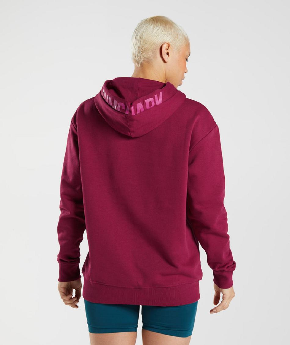 Sudadera Con Capucha Gymshark Graphics Fraction Mujer Rosas | CO 2030CTV